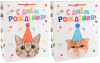 Пакет-сумка подарочный, 320 х 260 х120, "С Днем Рождения! Котики в колпаках", лаковый